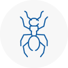 Ant Removals In Aylsham