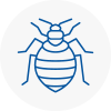 Bed Bug Extermination In Aylsham