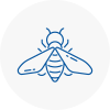 Bee Nest Removal Aylsham