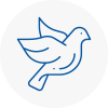 Bird Prevention Aylsham