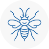 Aylsham Hornet Nest Removals