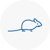 Mice Exterminators In Aylsham