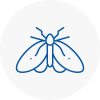 Moth Control Specialists In Aylsham
