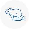 Rat Control Aylsham