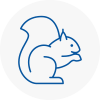 Aylsham Rodent Removals